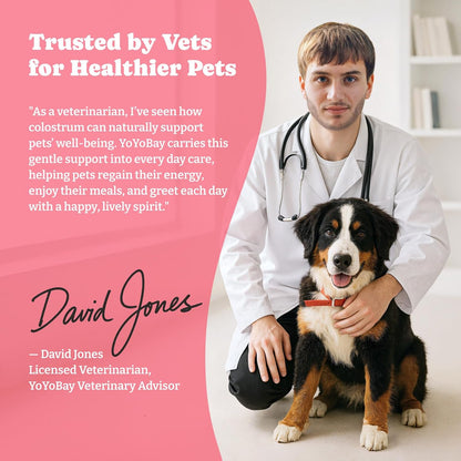 Bovine Colostrum Nutritional Gel for Dog & Cat - High Calorie Supplement for Dogs and Cats, Support Appetite for Cat, Immune Support, Dog Weight Gainer, Senior Dogs Cats Supplement