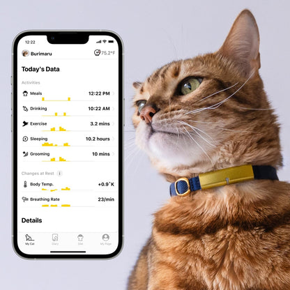 Health Tracker for Cats - Smart Cat Collar with Safety Breakaway Buckle for Indoor Cats, Wellness Alerts, Real-time Monitoring (Forest,M)