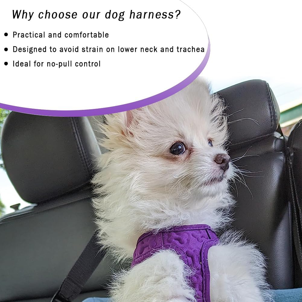 Comfort fit Step-in Dog & Puppy Harness - Comfortable All Weather Dog Vest Harness: Adjustable, Soft Padded, Easy to Put-on for Small, Medium-Sized Dogs.