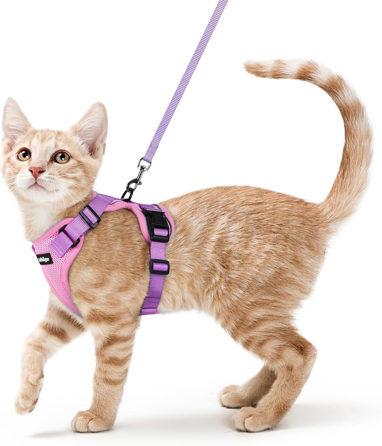 rabbitgoo Cat Harness and Leash for Walking, Escape Proof Soft Adjustable Vest Harnesses for Cats, Easy Control Breathable Reflective Strips Jacket, Pink & Purple, XS