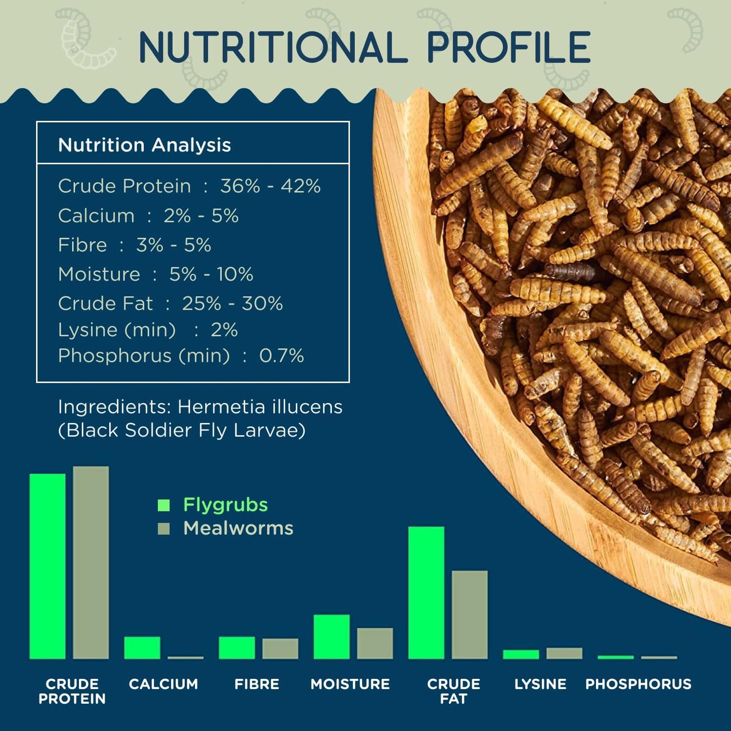 FLYGRUBS 10 lb Dried Black Soldier Fly Larvae - High Calcium Chicken Feeder - 85X More Calcium, Non-GMO Meal Worms for Wild Birds, Ducks, Turkeys, Quails, Turtles - Nutrient-Rich BSFL