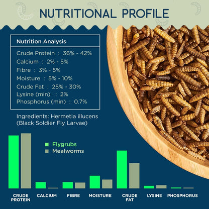 FLYGRUBS 10 lb Dried Black Soldier Fly Larvae - High Calcium Chicken Feeder - 85X More Calcium, Non-GMO Meal Worms for Wild Birds, Ducks, Turkeys, Quails, Turtles - Nutrient-Rich BSFL