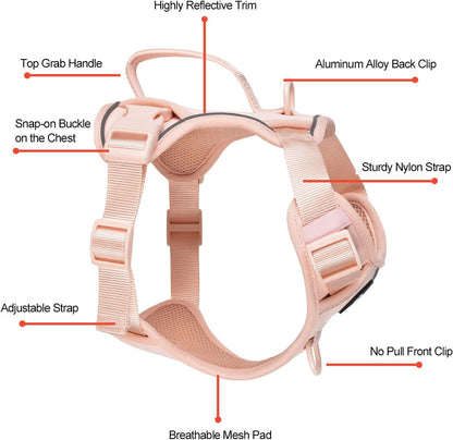 Petmolico Dog Harness for Small Dogs, Cute Harness Vest with Two Leash Clips and Soft Handle, Reflective Easy Walk Puppy Vest - Pink, X-Small