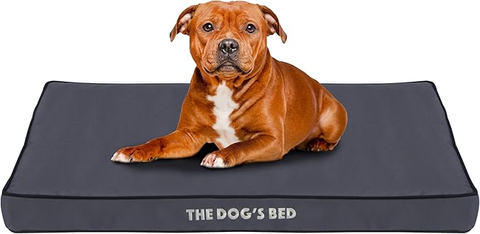 The Dog’s Bed Orthopedic Dog Bed, Large Grey with Black Trim, Waterproof, Supportive Dog Bed with Washable Replaceable Covers