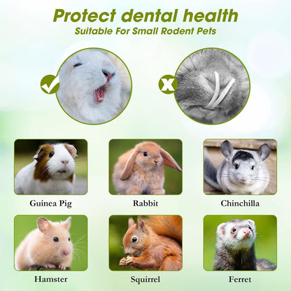 Abizoo Natural Rabbit Chew Toys - 10 Sweet Bamboo Sticks for Rabbits, Guinea Pigs, Chinchillas & Hamsters - Healthy Wooden Snacks for Teeth