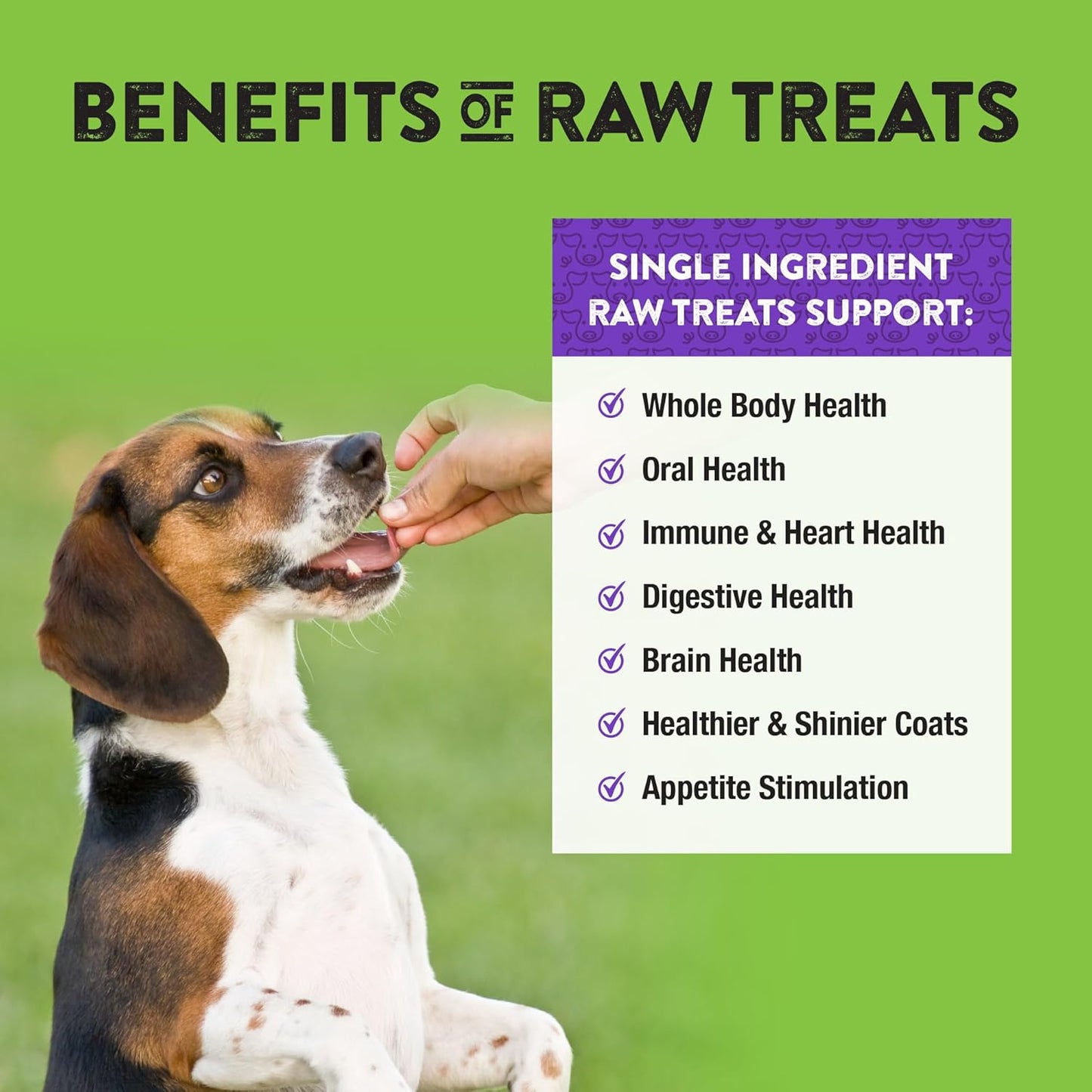 Northwest Naturals Raw Rewards Freeze-Dried Pork Liver Treats for Dogs and Cats - Bite-Sized Pieces - Healthy, 1 Ingredient, Human Grade Pet Food, All Natural, Proudly Made in USA, 3 Oz