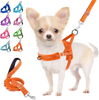 Lukovee No Pull Dog Harness and Leash Set, Soft Padded Small Dog Harness, Neck & Chest Adjustable Reflective Vest Puppy Harness with 4ft Lightweight Anti-Twist Dog Leash for Small Dogs (Orange, XXS)