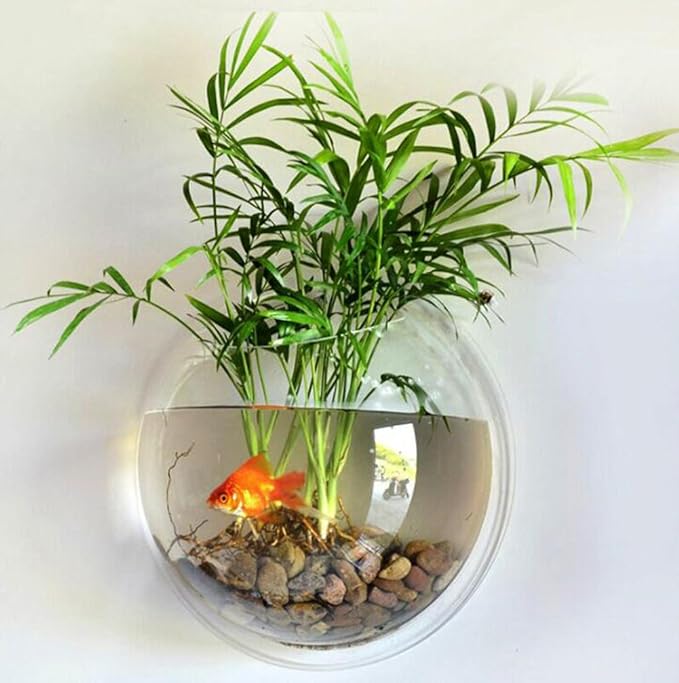 Hanging Wall Mounted Fish Bowl Betta Tank Aquarium Wall Decor Plant Fish Bubble - Clear (Medium)