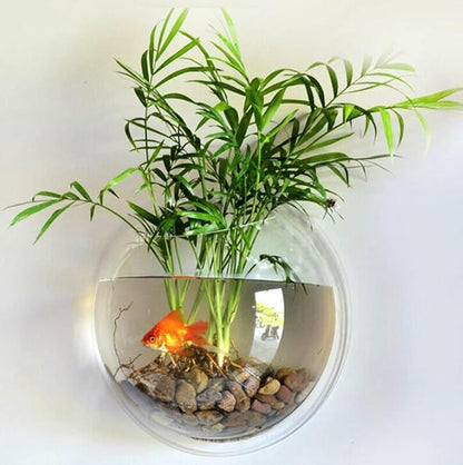 Hanging Wall Mounted Fish Bowl Betta Tank Aquarium Wall Decor Plant Fish Bubble - Clear (Medium)