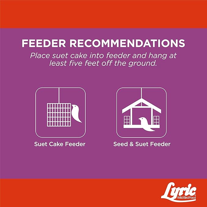 Lyric Delite High Protein Wild Bird Seed Suet Cakes for Wild Birds, 12 oz. (12 Pack)