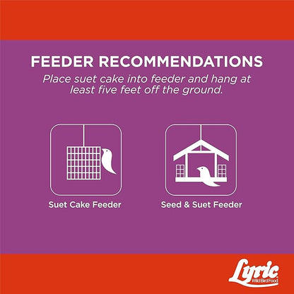 Lyric Delite High Protein Wild Bird Seed Suet Cakes for Wild Birds, 12 oz. (12 Pack)