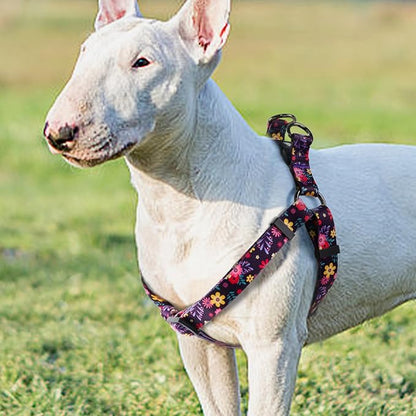 QQPETS Dog Harness Leash Set Adjustable Heavy Duty No Pull Halter Harnesses for Small Medium Large Breed Dogs Back Clip Anti-Twist Perfect for Walking