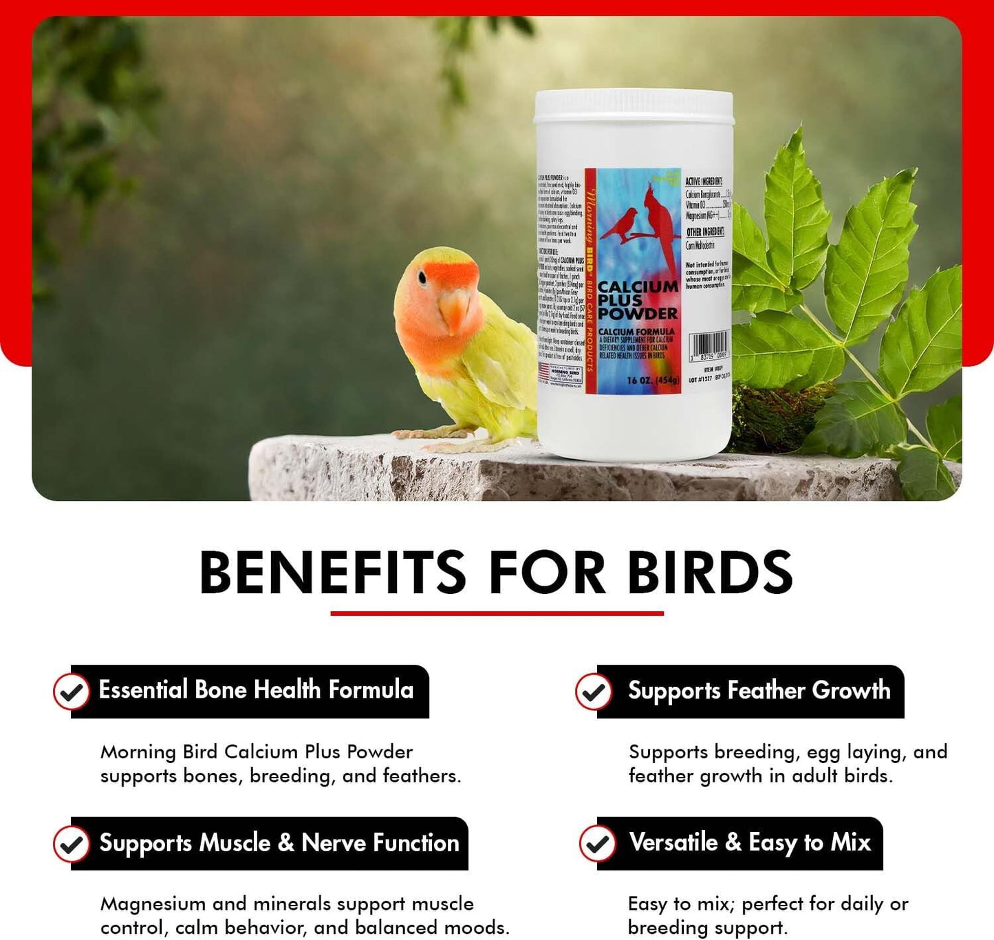 Morning Bird Calcium Plus Powder for Birds 16 oz – Calcium Supplement with Vitamin & Protein Powder – Supports Bone Health, Muscle Function & Digestive Balance – Easy-to-Mix Calcium Formula