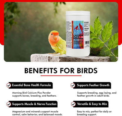 Morning Bird Calcium Plus Powder for Birds 16 oz – Calcium Supplement with Vitamin & Protein Powder – Supports Bone Health, Muscle Function & Digestive Balance – Easy-to-Mix Calcium Formula