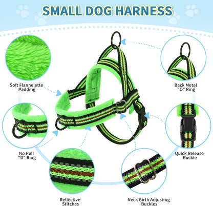 Lukovee No Pull Dog Harness and Leash Set, Soft Padded Small Dog Harness, Neck & Chest Adjustable Reflective Vest Puppy Harness with 4ft Lightweight Anti-Twist Dog Leash for Small Dogs (XXS, Green)