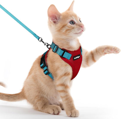 rabbitgoo Cat Harness and Leash for Walking, Escape Proof Soft Adjustable Vest Harnesses for Cats, Easy Control Breathable Reflective Strips Jacket, Red & Teal, XXS