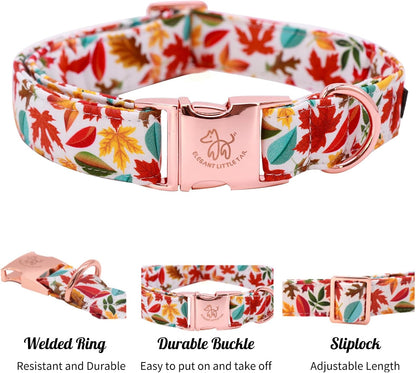 Elegant little tail Fall Dog Collar, Autumn Leaves Pet Collar Durable Dog Collars Male or Female Holiday Pet Gift Adjustable Dog Collar for X-Small Dogs