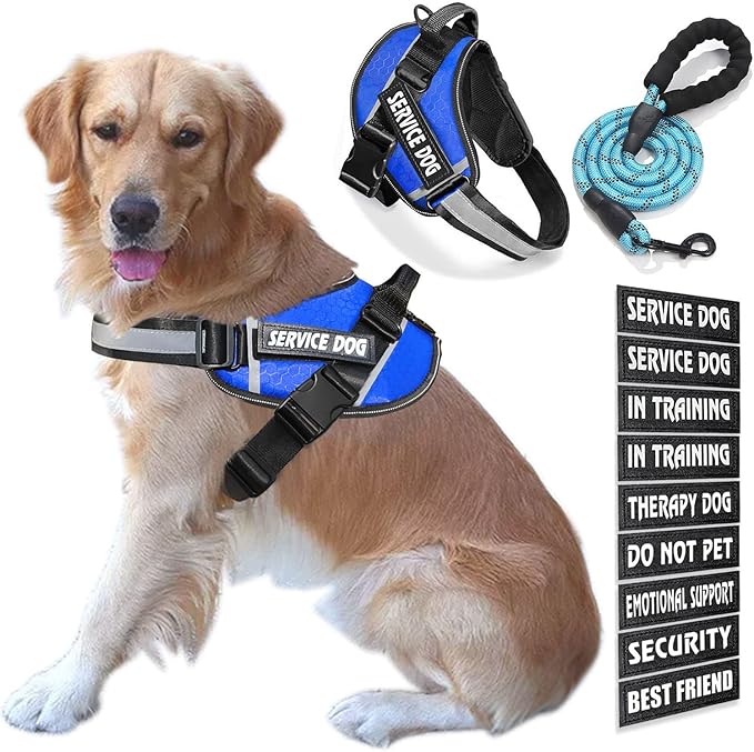 Service Dog Vest, 9 Dog Patches No Pull Dog Harness and Leash Set with Handle,Easy On and Off Pet Vest Harness with Night Safe Reflective Straps for Small Medium Large Breed Dogs