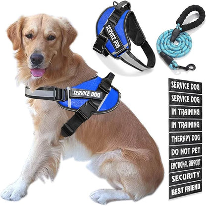 Service Dog Vest, 9 Dog Patches No Pull Dog Harness and Leash Set with Handle,Easy On and Off Pet Vest Harness with Night Safe Reflective Straps for Small Medium Large Breed Dogs