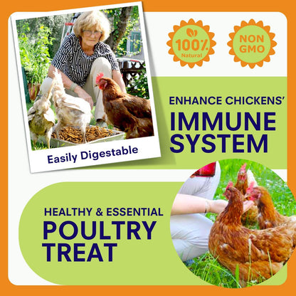 5lbs Dried Black Soldier Fly Larvae for Chickens - 100% Natural BSF Larvae More Calcium Than Dried Mealworms - High Protein BSFL Chicken Treats for Laying Hens Ducks Birds