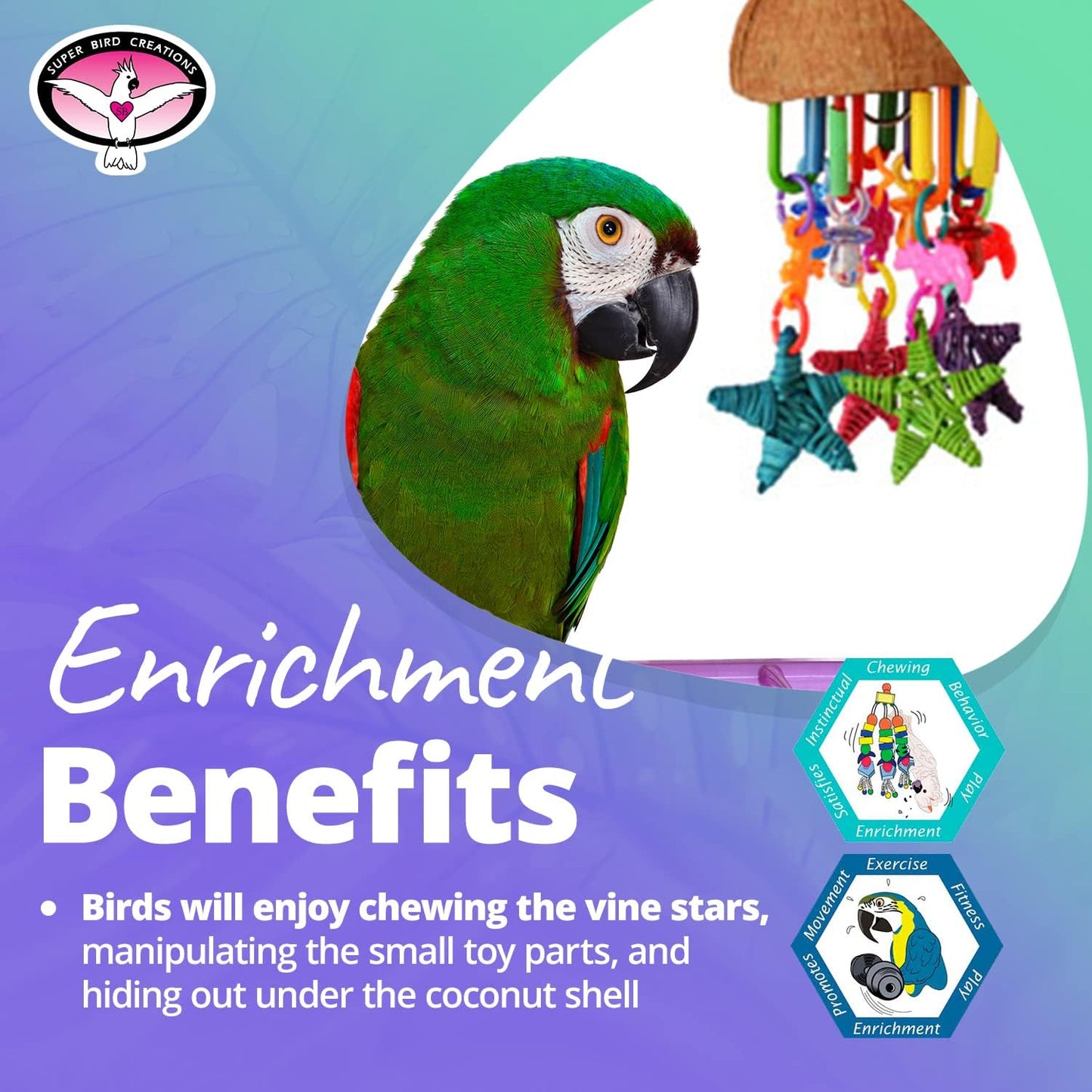 Super Bird Creations SB896 Seeing Stars Bird Toy - Interactive Foraging Toy, Ideal for Parrotlets, Parakeets, Cockatiels, Stimulates Mental and Physical Activity - Small/Medium Bird Size, 9.5" x 3.5"