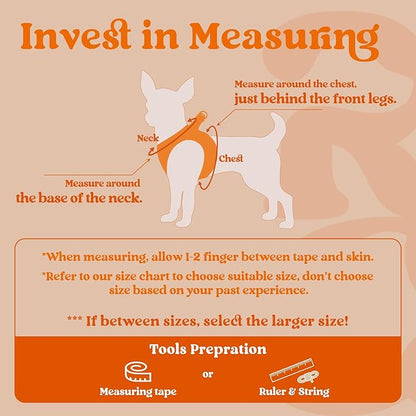 rabbitgoo Small Dog Harness, Step-in Soft Mesh Puppy Vest with Safety Buckle, Breathable Reflective Pet Harness for Extra Small Dogs, Orange XXXS