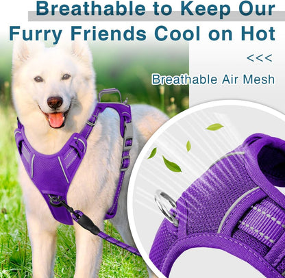 BARKBAY Dog Harness No Pull with ID Tag Pocket - Heavy Duty, Reflective, Easy Control for Small Dogs(Purple,S)