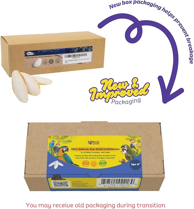 Birds LOVE Natural Cuttlebone | 100% Pure Sun-Dried Calcium Supplement for Birds, Tortoises, Snails & Crabs | Supports Beak & Shell Health | Easy to Chew | 3 Pack, Size 5.5 to 6"
