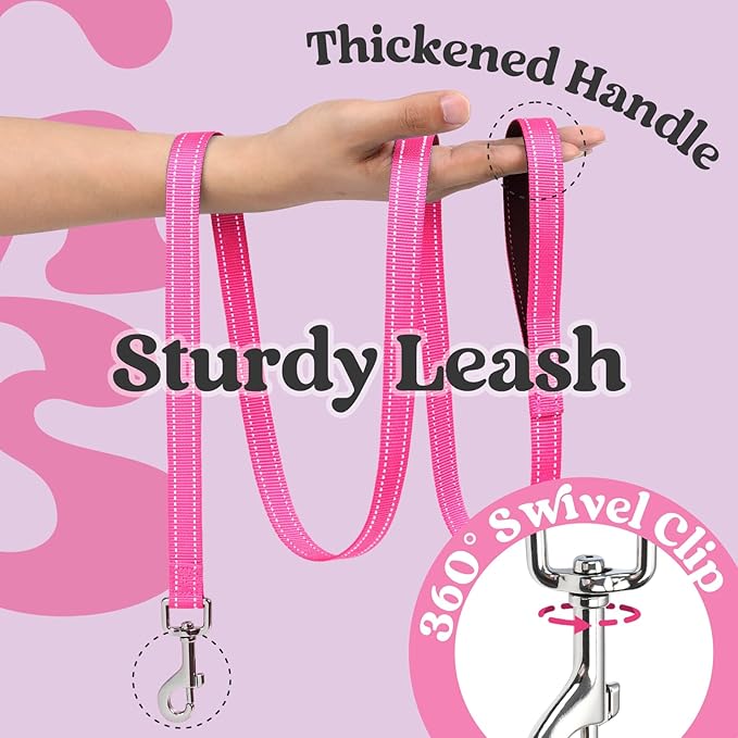 rabbitgoo Dog Harness Small Sized and Leash Set, Step-in Breathable Pet Harness, Soft Walking Reflective Puppy Vest for Small Dogs, Black & Rose Red, S