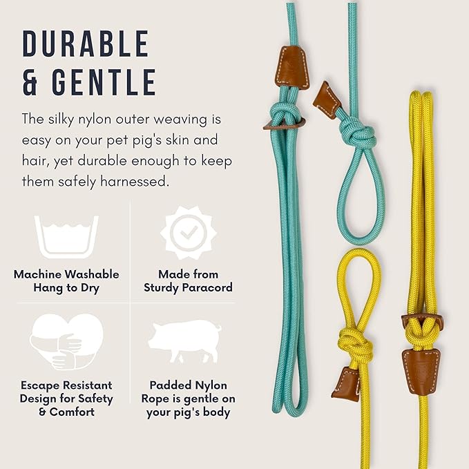 Mini Pig Harness & Leash (S/M) - Fully Adjustable, Infinity Style Lead, Step-in Harness, Potbelly Supplies, All-in-One - Ideal for Small & Medium Pet Pigs (Small, Eggshell Blue)