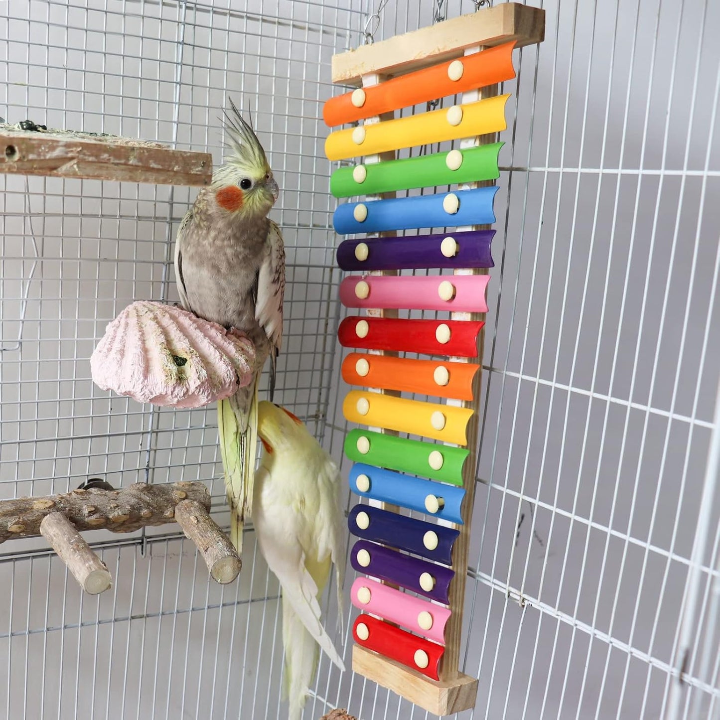 Dnoifne Large Colorful Bird Xylophone Toy, Suspensible Funny Xylophone Toy with 15 Metal Keys, Cage Accessories for Chicken Chick Birds Parrots Parakeets Cockatiels Budgies Love Birds