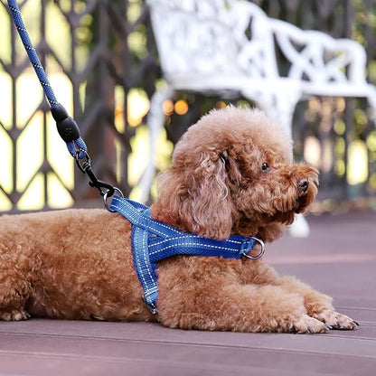 Plutus Pet No Pull Dog Harness with Breathable Mesh Padded, Adjustable Reflective Escape Proof Dog Harness, Quick Fit Dog Vest Harness for Small Medium Large Dogs(S, Navy Blue)