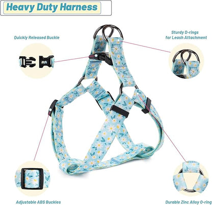 QQPETS Dog Harness Leash Set Adjustable Heavy Duty No Pull Halter Harnesses for Small Medium Large Breed Dogs Back Clip Anti-Twist Perfect for Walking