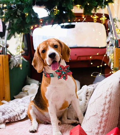 DOGWONG Christmas Dog Collar with Flower, Red Green Strip Snowflake Dog Collar Soft Durable Adjustable Cotton Puppy Collar for Small Medium Large Dog