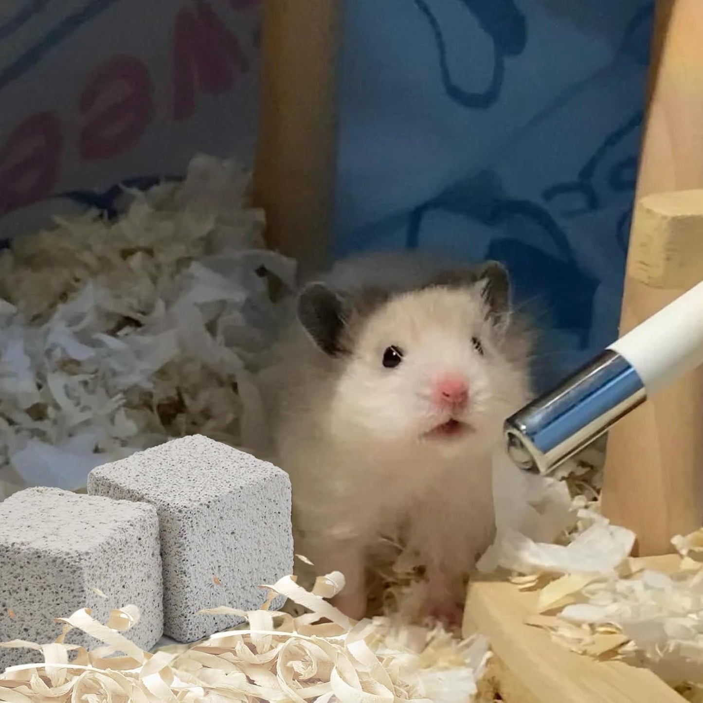 PINVNBY 20 Pcs Lava Blocks for Rabbits,Chinchillas Lava Block Hamster Mineral Stone Small Animals Square Calcium Stones Teeth Pumice Grinding Chews Toy for Bunny Hamsters Chinchilla Guinea Pig