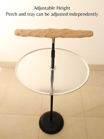 Parrot Training Perch Stand with Potty Tray (T Perch, XL)