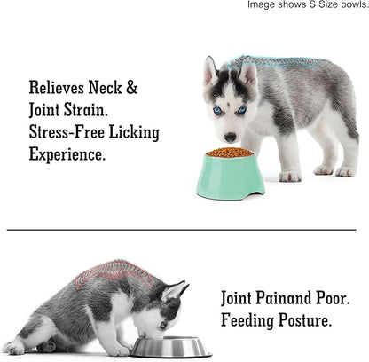 Dog Bowls,Cone Friendly Non Slip Single Dog Bowl with Stainless Steel Inner, Raised Bowls for Smll Dogs Spaniel Dogs Long Ear, High Capacity, M/2 Cup Mint Green
