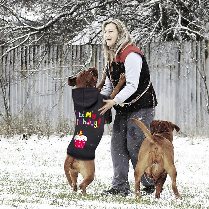 GreenJoy Dog Sweater Dog Hoodie Cold Weather Coat Hooded Sweatshirt for Puppies,Cats, Small Medium Large Dogs (Black(It's My Birthday), XX-Large)