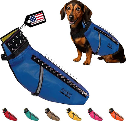 CoyoteVest Dog Harness Protection Vest, Reflective Dog Accessories with Spikes to Shield Your Pet from Raptor and Animal Attacks, Proudly Made in America (Large, Royal Blue)