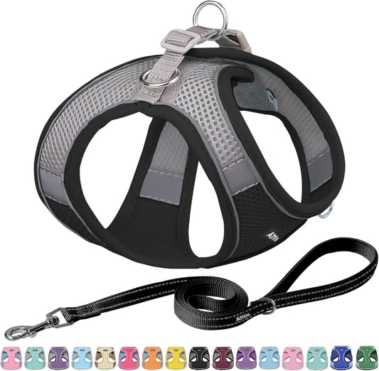 AIITLE Comfortable Dog Harness and Leash Set for Walking - Summer Step in Vest Harness,Reflective Bands, Adjustable No Pull Puppy Essentials, for Small Dogs and House Cats Black XS