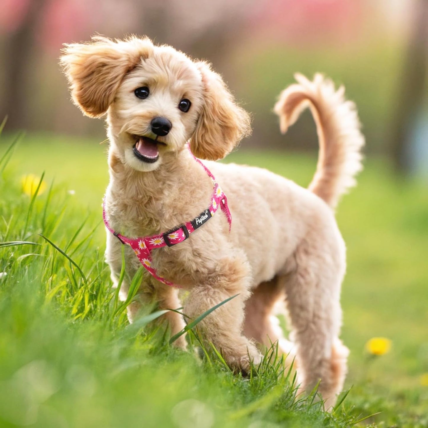 PUPTECK No Pull Dog Harness Soft Adjustable Basic Nylon Step in Puppy Vest Outdoor Walking with ID Tag, Fuchsia Daisy, S