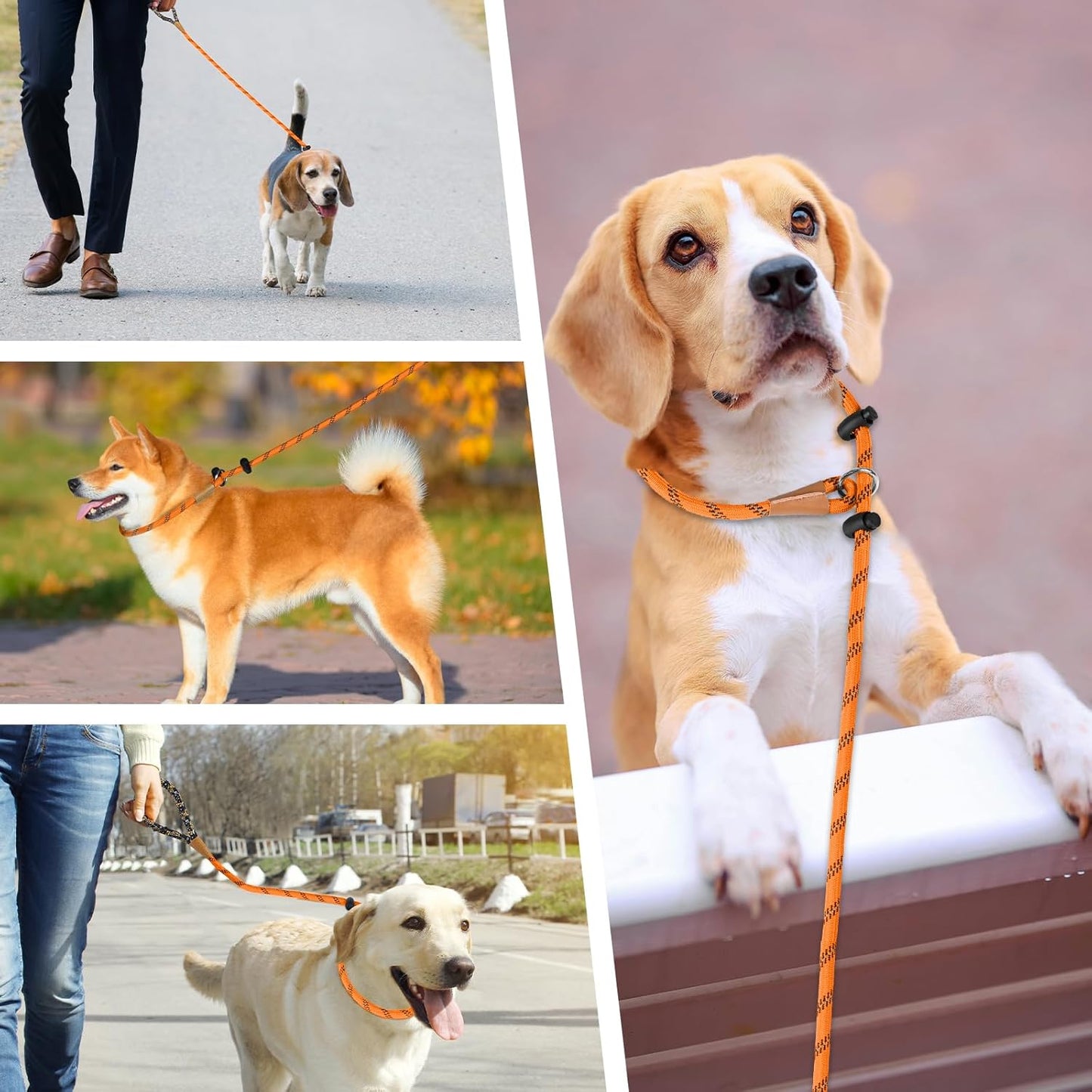 lynxking Slip Lead Dog Leash Reflective, Heavy Duty Comfortable Strong Rope for Large Medium Small Dogs No Pull Pet Training (Orange, Large 1/2in x 6ft-Slip Lead)