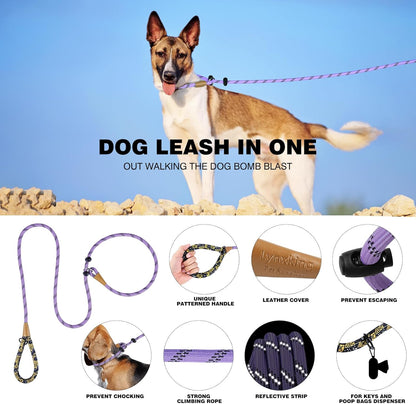 lynxking Slip Lead Dog Leash Reflective, Heavy Duty Comfortable Strong Rope for Large Medium Small Dogs No Pull Pet Training (Light Purple, 2PCS Large 1/2in x 6ft)