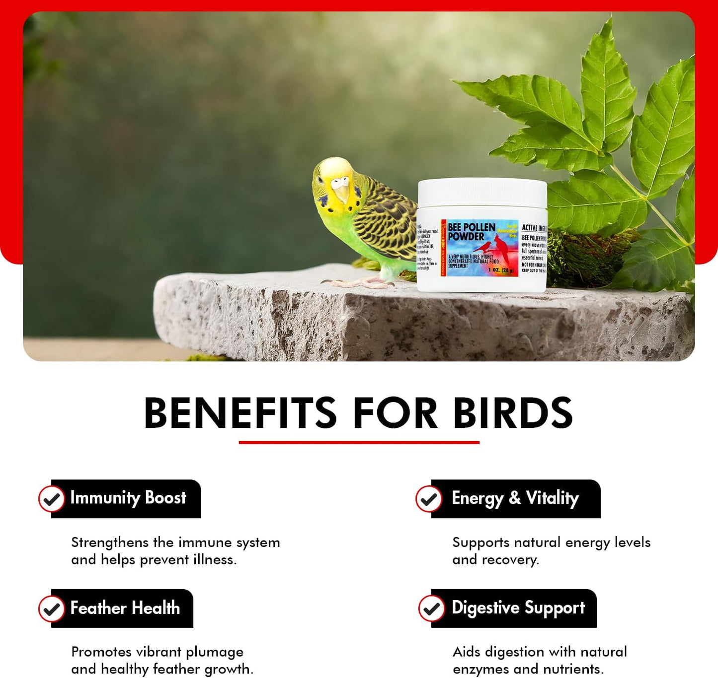 Morning Bird Bee Pollen Powder for Birds 1 Oz – Complete Nutrition with Protein, Amino Acids & Immune Support – Bird Vitamin & Mineral Supplement for Daily Health & Wellness