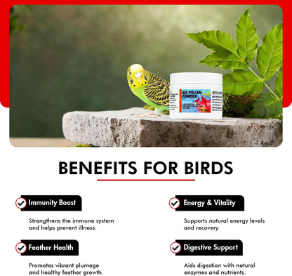 Morning Bird Bee Pollen Powder for Birds 1 Oz – Complete Nutrition with Protein, Amino Acids & Immune Support – Bird Vitamin & Mineral Supplement for Daily Health & Wellness
