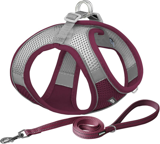 AIITLE Easy Walk Dog Harness and Leash Set - Pet Supply No Pull, Step in Adjustable Pet Harnesses with Padded Vest for Summer, No Choke Over, Easy to Put on Medium Dogs Burgundy L