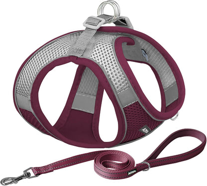 AIITLE Comfortable Dog Harness and Leash Set for Walking - Summer Step in Vest Harness,Reflective Bands, Adjustable No Pull Puppy Essentials, for Small Dogs and House Cats Burgundy XS