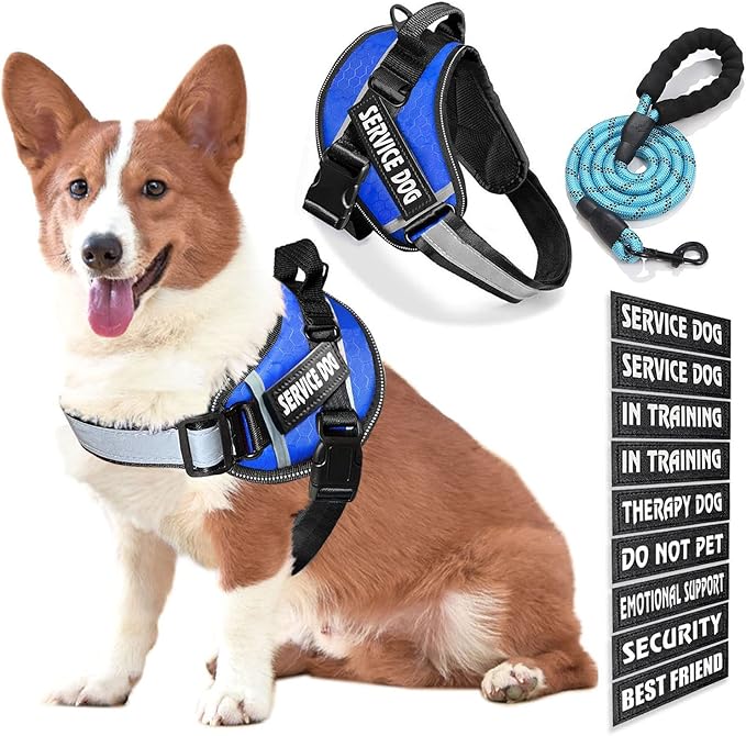 Service Dog Vest, 9 Dog Patches No Pull Dog Harness and Leash Set with Handle,Easy On and Off Pet Vest Harness with Night Safe Reflective Straps for Small Medium Large Breed Dogs