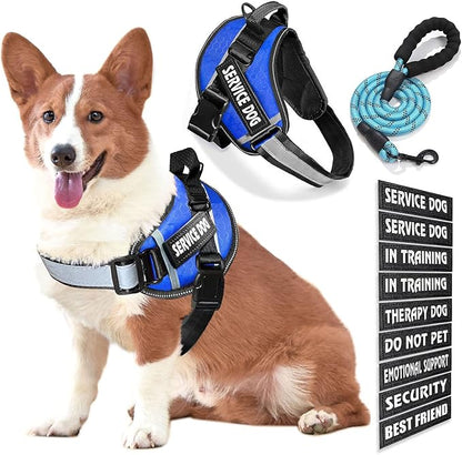 Service Dog Vest, 9 Dog Patches No Pull Dog Harness and Leash Set with Handle,Easy On and Off Pet Vest Harness with Night Safe Reflective Straps for Small Medium Large Breed Dogs
