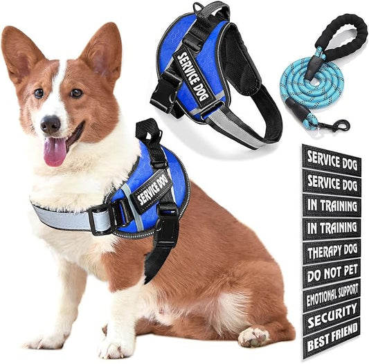Service Dog Vest, 9 Dog Patches No Pull Dog Harness and Leash Set with Handle,Easy On and Off Pet Vest Harness with Night Safe Reflective Straps for Small Medium Large Breed Dogs